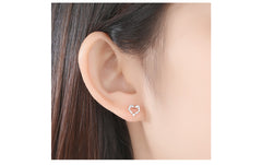 Light Luxury Women's Ear Studs